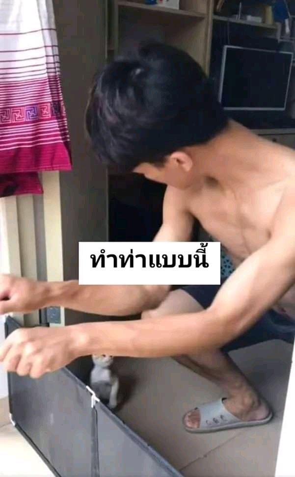nu-an tweet media