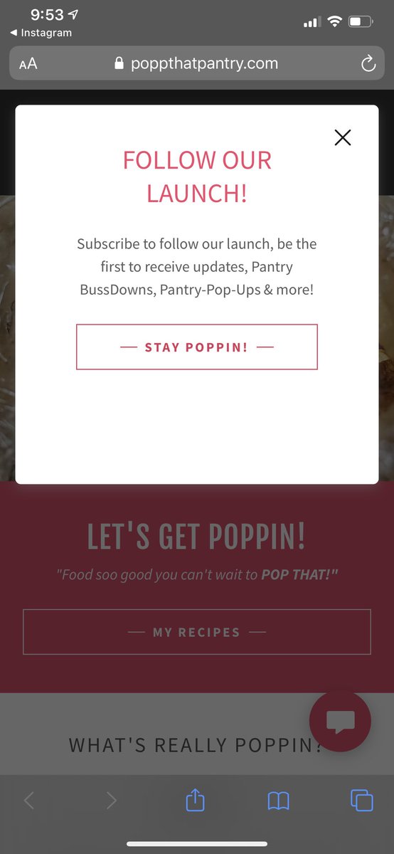 Subscribe away! Link in bio. ✨