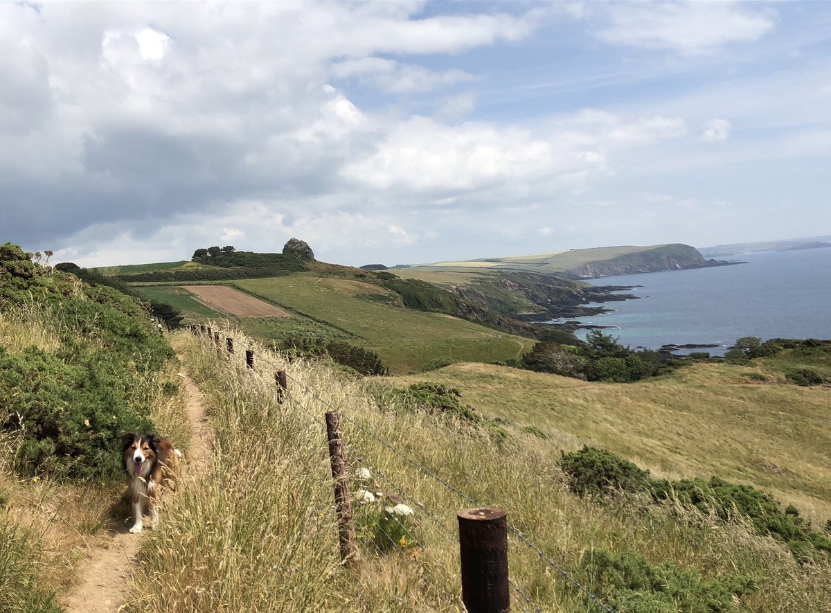 CarswellCottage's tweet photo. Photo from today’s lunchtime walk along @swcoastpath. This stunning coastline is a few minutes walk from all 7 of our cottages. We are keeping everything 🤞 that guests will be able to enjoy our cottages &amp; these views again very soon #southwestcoastpath #devon #visitdevon https://t.co/2atFqf63rK