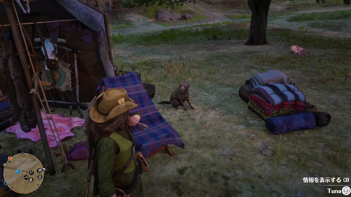 Nyu Reddeadredemption2 Rdr2 Reddeadonline Rdo キャンプにウサギが迷い込む 女 こうやってカメラで見ると 女 ウサギも可愛いもんやな 女 さてと まぐろ 犬 女 ん T Co Nh9lornyzn