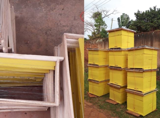 MihakiFarm's tweet image. Latest batch of #langstroth #hives from production line.  Heading to the farm shortly. @MAAIF_Uganda @DAES_MAAIF @MAAIF_NFLC @PSAgriculture @AgriProFocusUG @Naacug @AndSafeguards @MihakiFoods