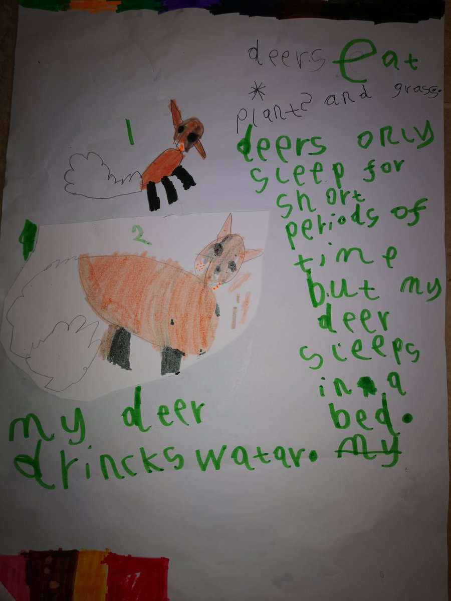 scargill_school's tweet photo. Great work coming in from Olivia- If she could be any animal in the world she would be... a deer! #DeerClass #HomeLearning https://t.co/goUuyTaB10