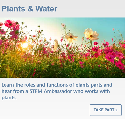 STEMHUB_SE's tweet photo. #Virtual #Science #Jamboree Day 2 #Plants &amp; #Water. Learn the roles &amp; functions of plants parts. Hear from Chris works at A Pearson Growers &amp; @STEMAmbassadors. Starting tomorrow at 10am please visit: https://t.co/Vg77vaoKzA #VirtualSciJam #Teachers #Parents #STEM @Britishtomatoes https://t.co/fDa8hqtH7R