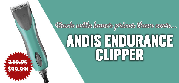 ShowDogStore's tweet photo. 🐾 $120 off Andis - Shop Now! - https://t.co/HPVuTsMLAn https://t.co/PIXmroKK3F