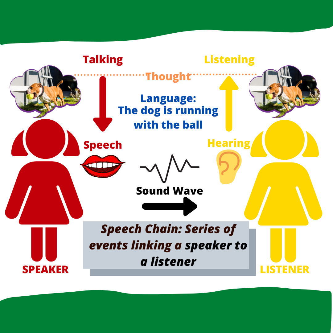 Does your child talk like other kids? Is it a concern with speech or language or both? Check out our post at #DLDandMe to learn more. ow.ly/kxiM50A3VDQ
#SLPeeps #DevLangDis #DevPhonDis #childspeech #speechdisorders