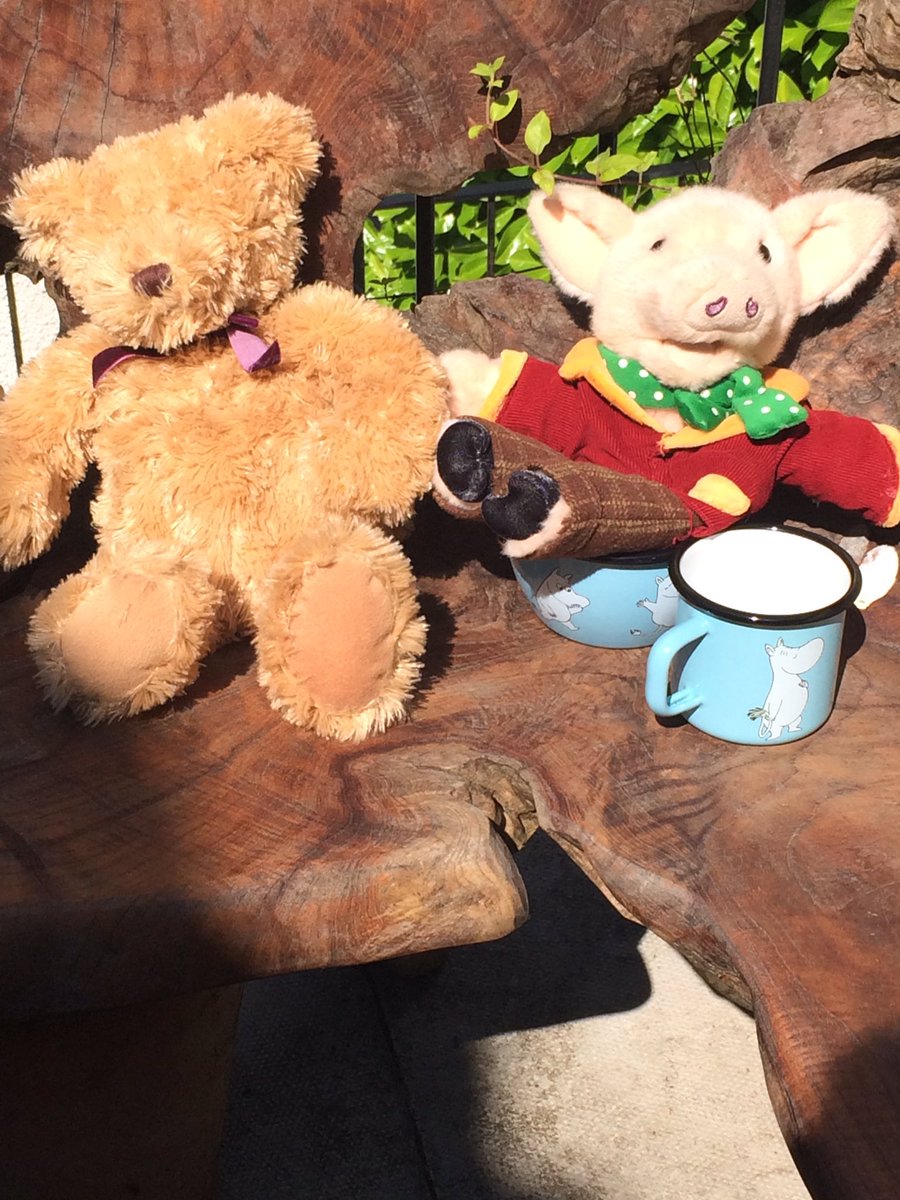mspechline's tweet photo. @echlineprimary Echlington enjoyed his picnic with his friend, Pig. I hope you’ve all enjoyed your picnics too. https://t.co/ChJHwuVVoA