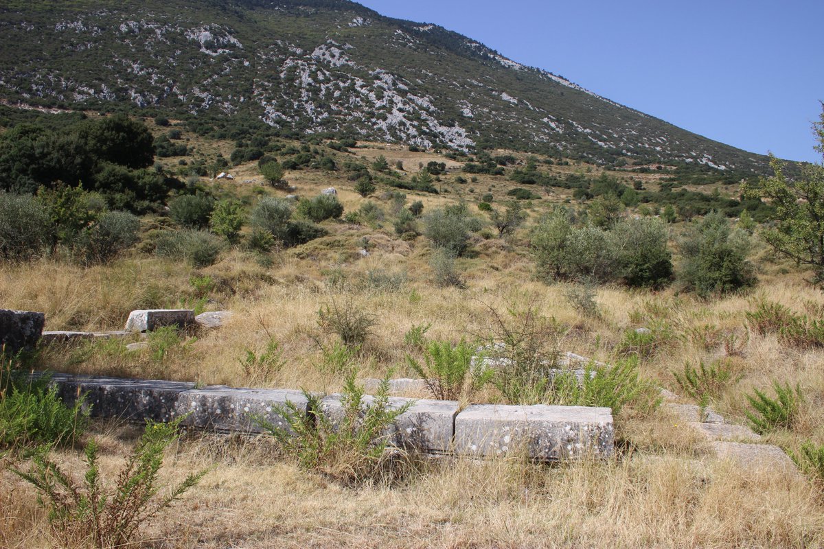 PRGrigsby1's tweet photo. Lower down are the ruins of the #SanctuaryOfTheMuses. In this valley the festival of the #Mouseia took place from at least C3BC in honour of the #Muses, with sponsors including the #Ptolemys. @ClassicsWarwick @classicsforall @WarwickClassNet @Hellenic_Soc https://t.co/RnLWVfLz8N