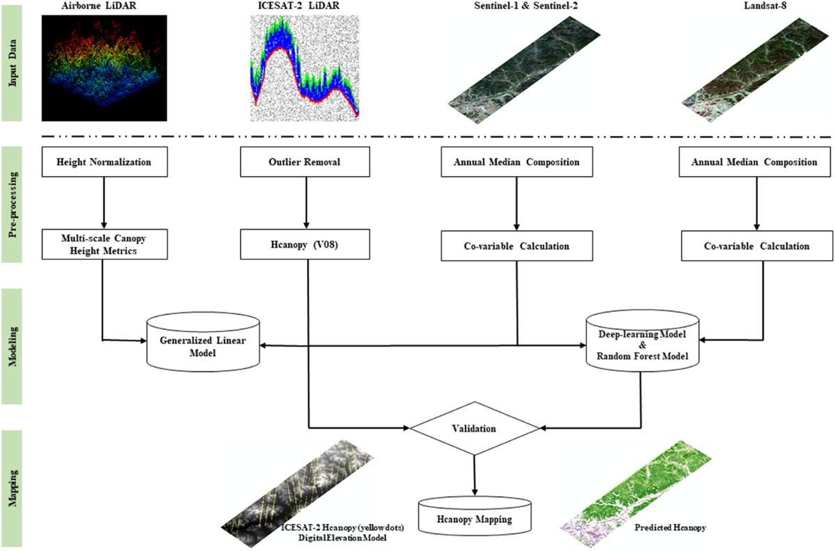 als model machine learning