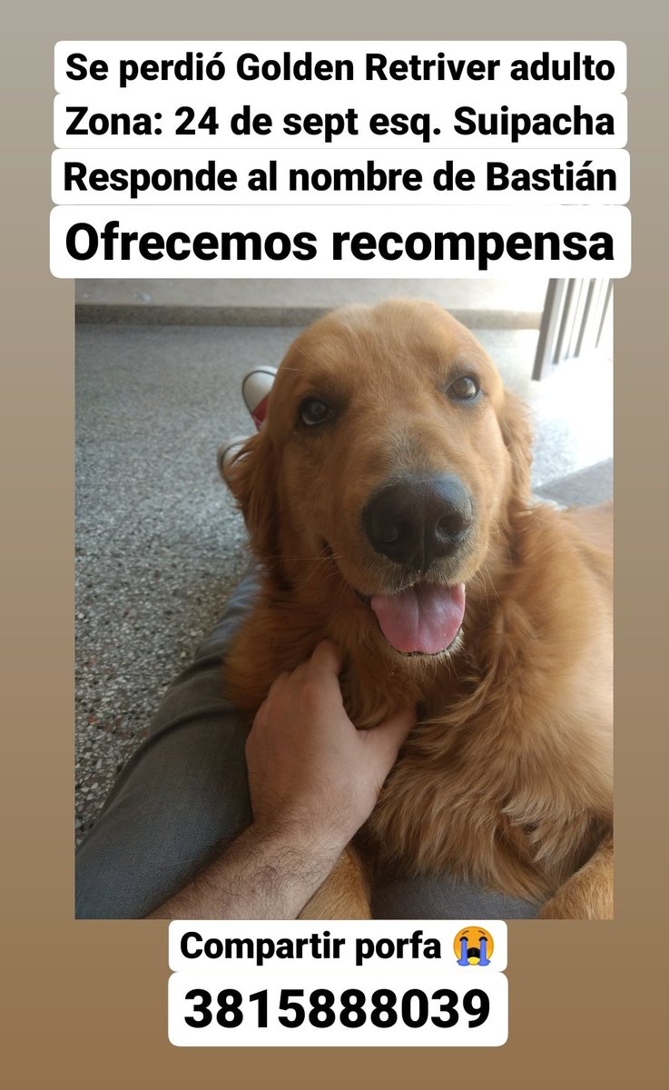 lctuc's tweet photo. Se perdió el basty. RT porfa https://t.co/8a8eD0SrWg