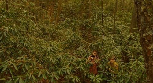 Moonrise Kingdom , (2012)