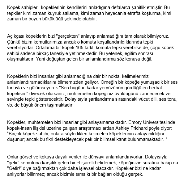 kulupbilim's tweet photo. Köpekler Bizi Gerçekten Anlıyor Mu?

#köpekler #sevimlidostlar
#bilim #teknoloji #mühendislik
#science #technology #engineering https://t.co/jG0jT3MrOk