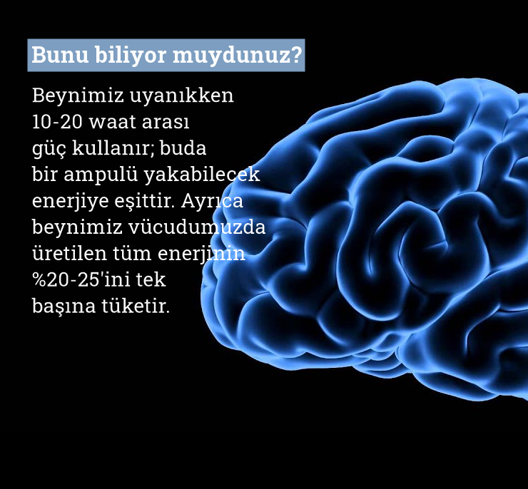 kulupbilim's tweet photo. Bunu biliyor muydunuz?

#beyin #enerji
#bilim #teknoloji #mühendislik
#science #technology #engineering https://t.co/hv0Qr55FVG