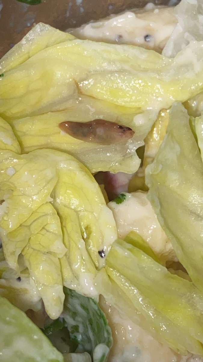 JeyNicole's tweet photo. @AsdaServiceTeam wondering if I can talk to someone about the slug I found in my pasta salad bought from one your Cardiff stores. It’s a prepackaged salad so I’m wondering how it wasn’t cleaned properly? https://t.co/6c0GY7CSSp