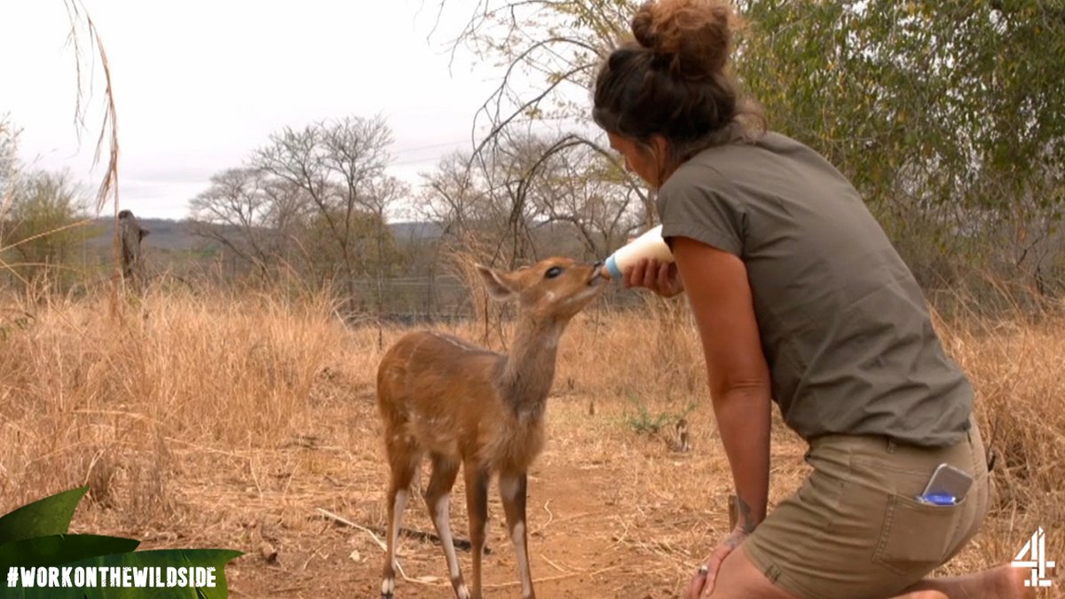 "It's so nice not to have to sit in traffic every day going to work - to an office job. I honestly don't think I could ever return back to England."

It's clear to see why life in South Africa suits Emma so perfectly ☀ #WorkOnTheWildSide