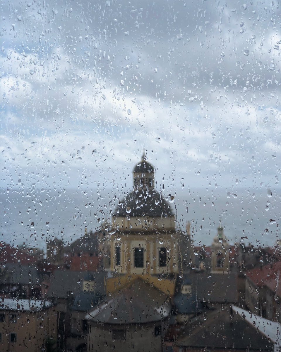 daniela stratta tweet media