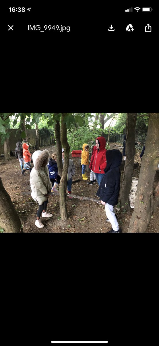 Biggin Hill Primary tweet media