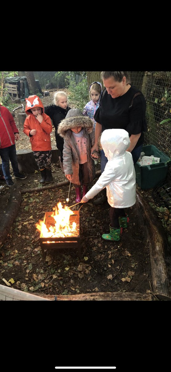 Biggin Hill Primary tweet media