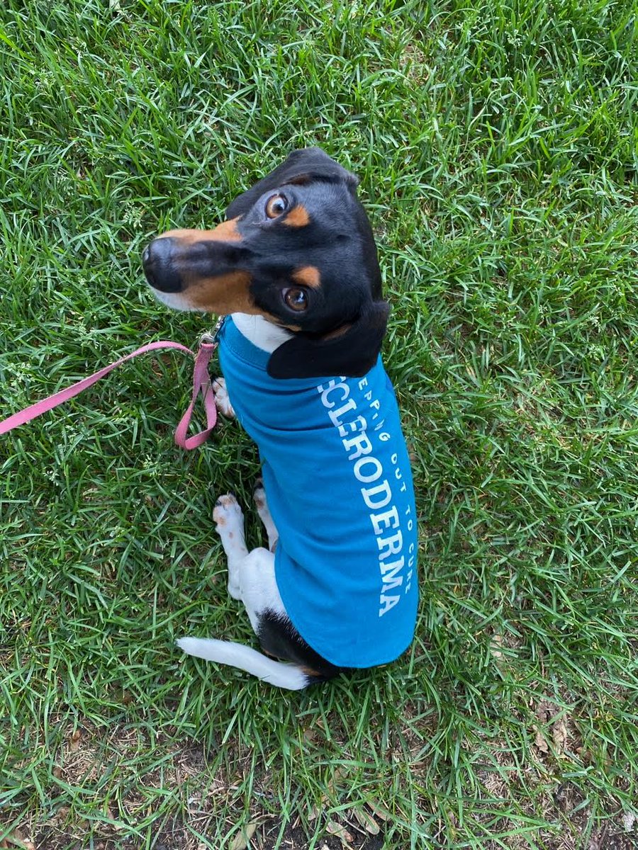 SclerodermaMN's tweet image. I mean, come on. Does it get much cuter than this?! Little Sophie is ready for the virtual #SteppingOutToCureScleroderma Walk on Sunday! There's still time to register/donate at scleroderma.org/steppingoutmn. And don't forget to share your photos with us using #MySteppingOutSelfieMN.