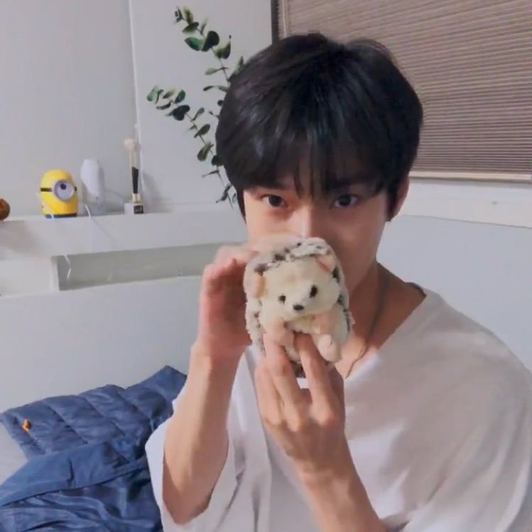 goldfishstuff's tweet photo. dochi dochi 🦔💨

#도영 #DOYOUNG https://t.co/xkNqH0VwBQ