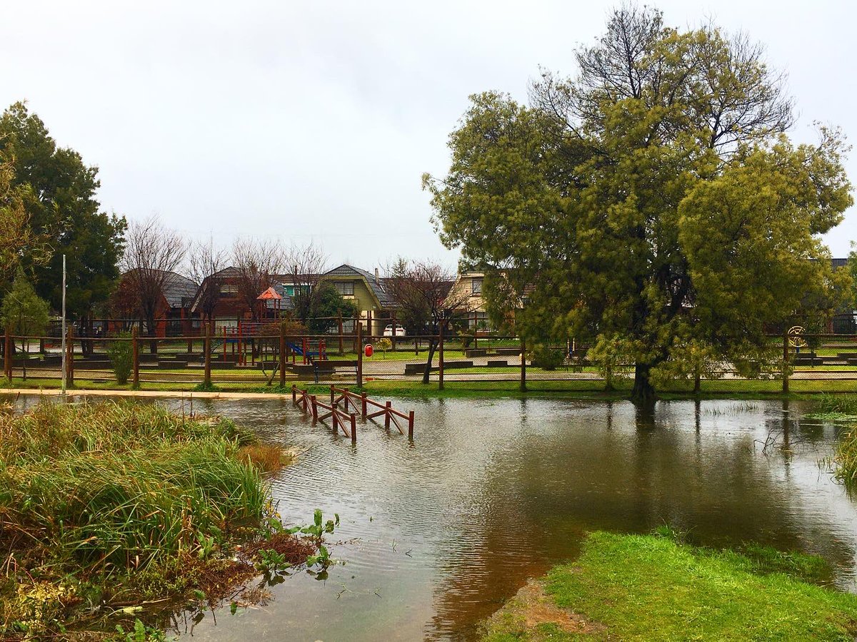 ActivaValdivia's tweet photo. lluvias de hoy, demuestran la funcionalidad de las infraestructuras verdes por sobre las grises, un parque que permite inundarse resguarda sus viviendas, mientras colectores que colapsan (aunque sea unos minutos)  no tienen otra opción que desviar sus aguas a las viviendas. https://t.co/9hhI79tWPv