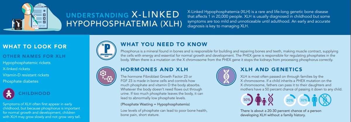 HormoneHealthN's tweet image. X-Linked Hypophosphatemia is a genetic condition. It occurs when a mutation occurs on the #Xchromosome from the #PHEXgene and stops the kidneys from processing phosphorus correctly. Learn more: bit.ly/2YoubVZ