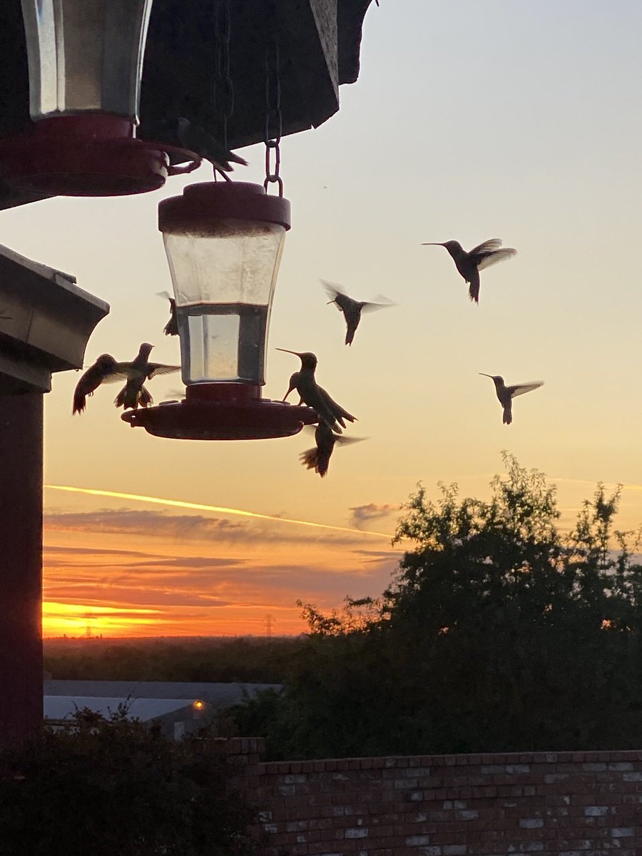 Tom Changnon tweet media