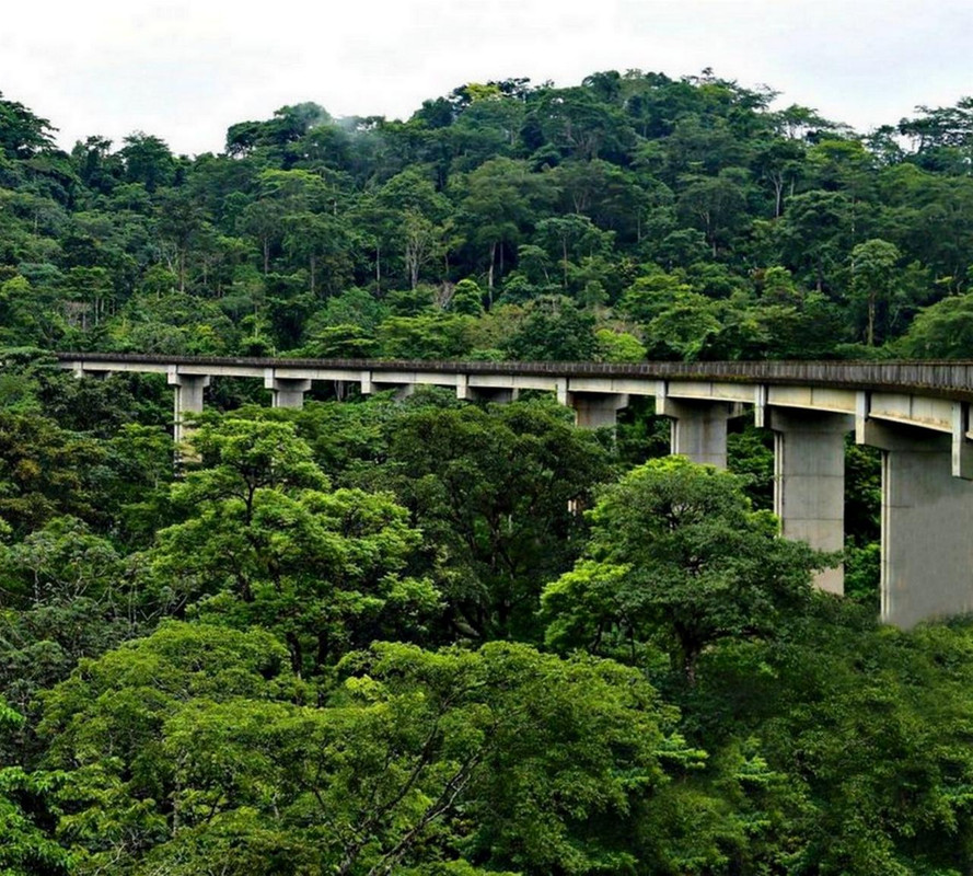 gampsonfranck's tweet photo. L’impressionnant viaduc de Mobombe long de plus d’un kilomètre est une des attractions de nombreux voyageurs de Nguti ( Sud Ouest )
➡😱🌇💚❤💛
Welcome to #Cameroon
#Cameroun
#237DaysTrip
#J142
#suivezleguide @ckomentmagazine @AdaMbita @Manekang
#totalchan2020 #NationBranding https://t.co/R4XZQGH4fA