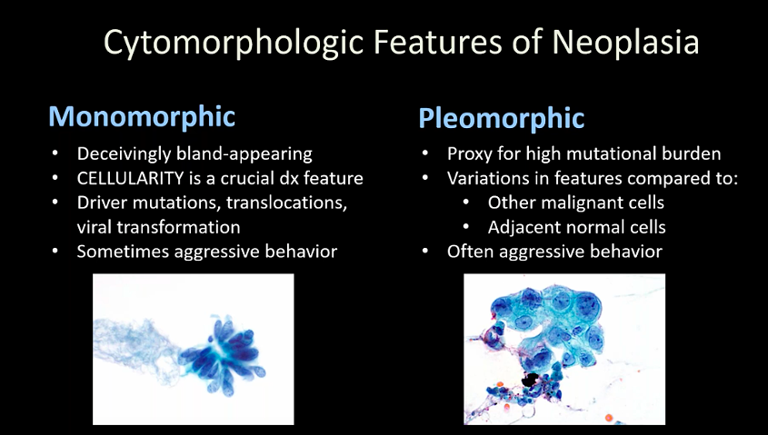 juliagallardo23's tweet photo. Basic concepts of cytopathology @cjvand #CAPVirtualPath #CytoPath https://t.co/0twKbiwf1E