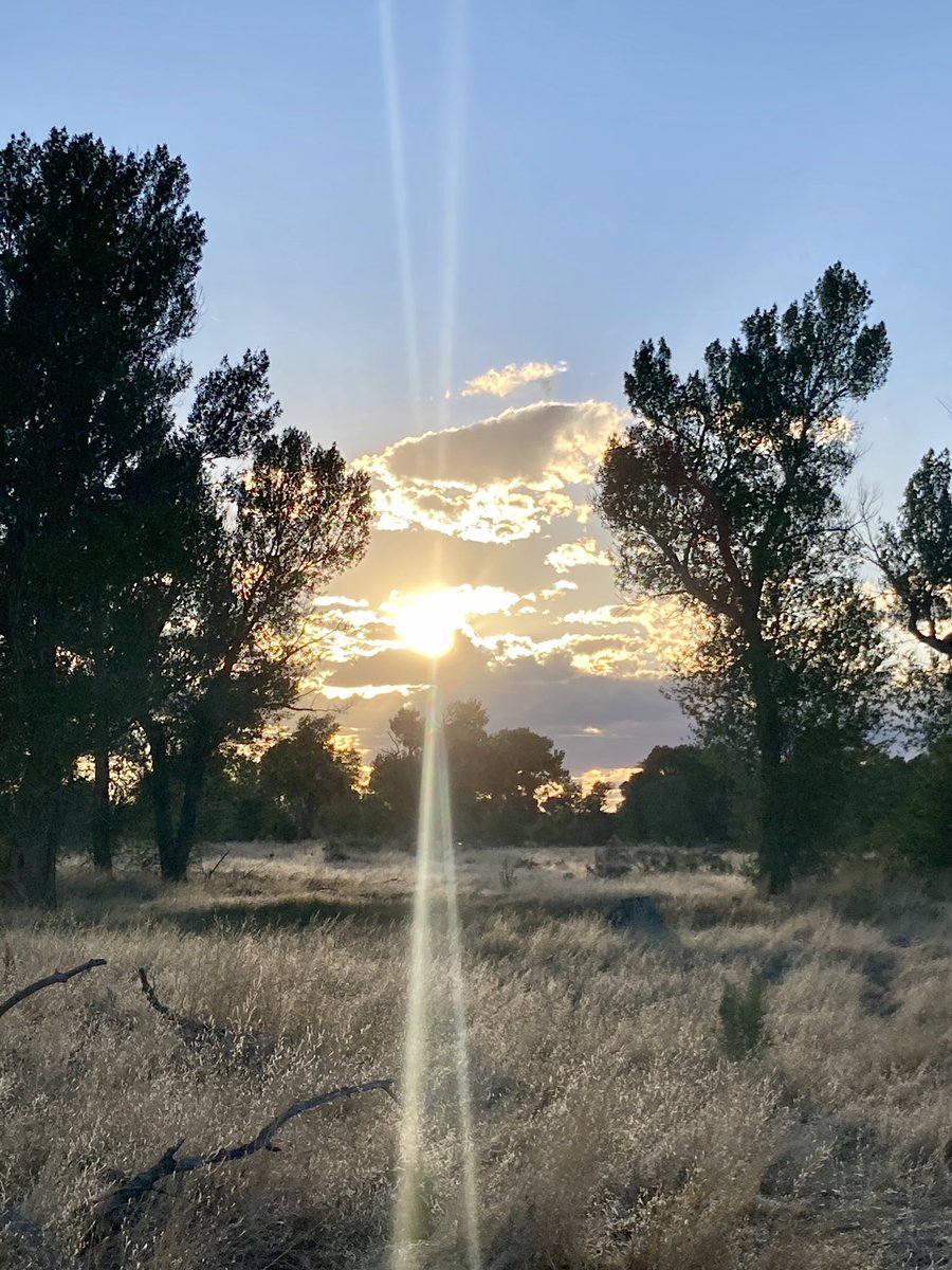 Run to a magical place! 🦄🌈

I did two new podcasts w/ <a href="/ThisIsOklahoma/">This Is Oklahoma</a> and <a href="/Ultraspire/">UltrAspire</a> . Ultraspire has been awesome to work with 🙌. I’ve been loving the minimalist feel of the fitted race belt, which is a great option for daily training and road racers🏃‍♀️🏞.