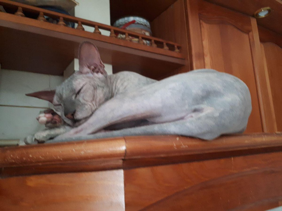 что-то ни одной голой киски в #нюдсочетверг. Надо бы это исправить