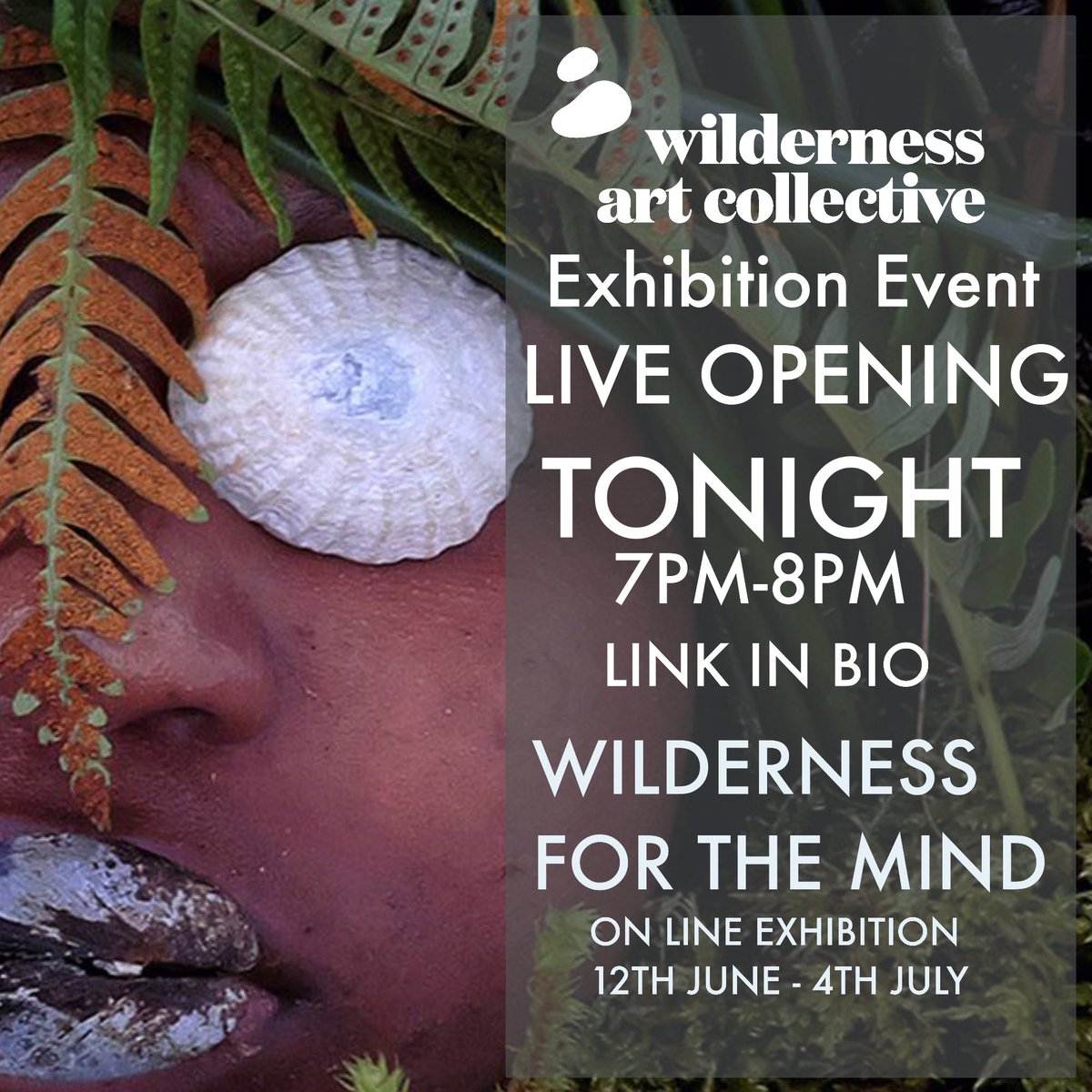 7.00pm tonight . Online exhibition opening event ! I’ll be there . Join the fun via the website wildernessart.org/wilderness-for…