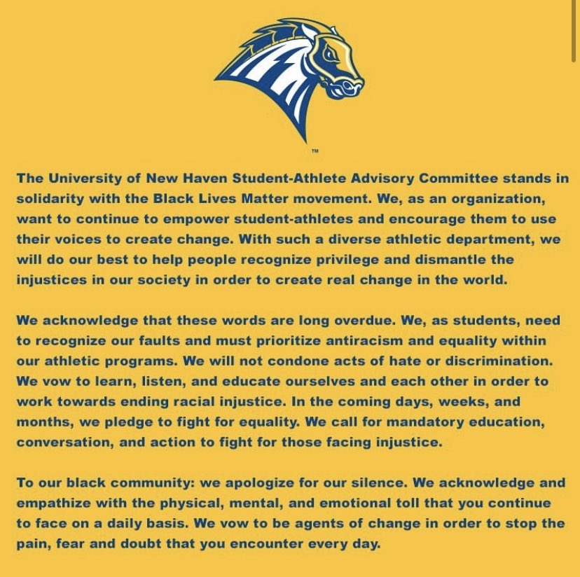 New Haven SAAC (@newhavensaac) on Twitter photo 