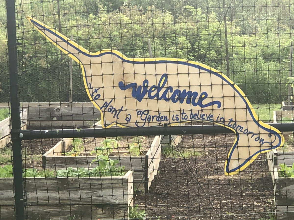 Downingtown6GC's tweet photo. After the kids move on, the seeds that they planted grow and feed the hungry in our community. And Mrs. Cain still shows up nearly every day to make sure the garden is tended. #growinggoodpeople https://t.co/LWAGoAPUdX