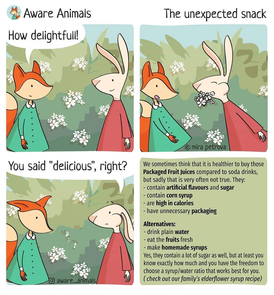 AwareAnimals's tweet photo. Packaged juices are not a healthy choice
and not to mention the packaging that you have to deal with afterwards. So I rediscovered the homemade elder flower syrup - delicious and cheap beverage alternative! 🍹🌺🍋 
Check the recipe that we shared on our Instagram!
#comicstrip https://t.co/9uYo9OaTTb