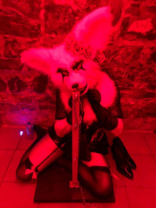 Oh no, the fenfen is tied and at the mercy of anyone ❤️❤️❤️  The local fetish club reopened and i never<a href="/tag/murrsuit"class="tags"><span>#murrsuit</span></a>