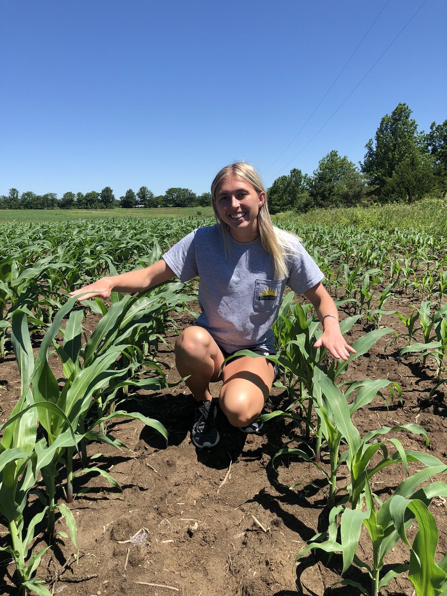 gavin_spoor's tweet photo. I’m a skeptic. I prefer seeing results. I believe something only after seeing it work on my own farm. This. This has impressed me.

@AgSpectrumCo 
@MaxFarmDM 
@farmboy4455 

The difference between these two pictures was simply flipping the in-furrow system off on my planter. https://t.co/KerTZ8ZvCx