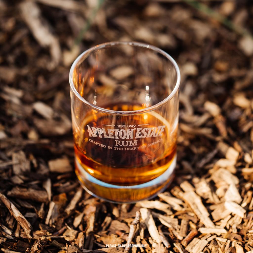 AppletonRumUK's tweet photo. Big up the sippers - catching a vibe as the sun goes down 🌞 🥃 🇯🇲
.
#cheers #drink #drinks #rum #AppletonRum #Jamaican #Jamaicarum #RareBlend #Agedrum #sipsavourrepeat #goldenrum https://t.co/gNdPpzLRkJ