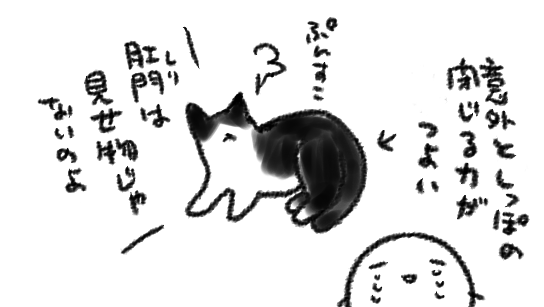 フゥ…ハァ…今日のねこの肛門追いはここまで……
(肛門腺絞りの道は険しい) 