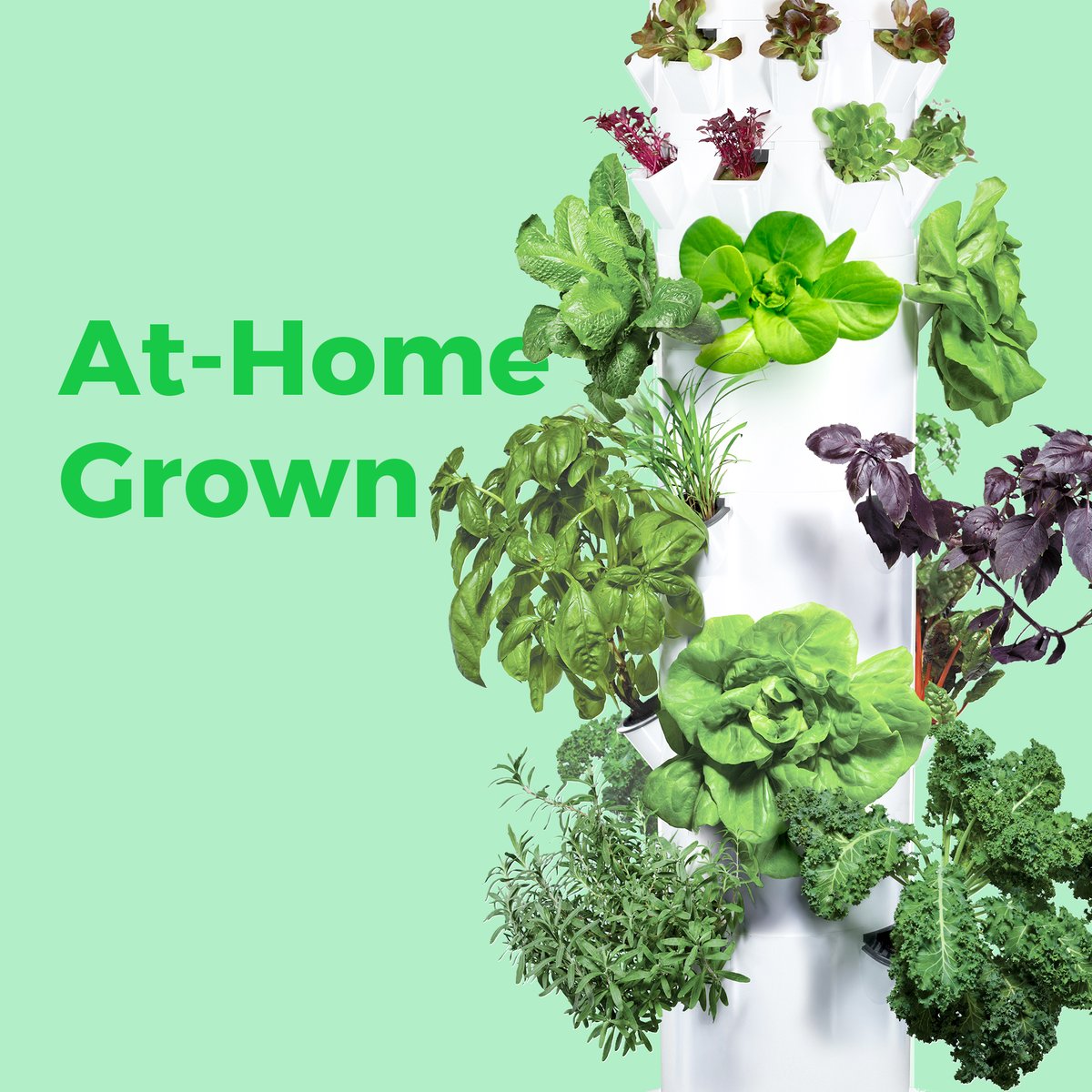 #Sustainable, plant-based living made easier. Grow fresh fruits and veggies at home all year long, and get the whole family involved with these tips for growing with your kids from <a href="/TowerGarden/">Tower Garden</a>. ow.ly/Jr8I50zYSsM
 #PlantBased #FamilyNutrition #aeroponic #verticalgrowing