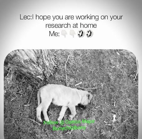 MajorOption's tweet image. #justforfun