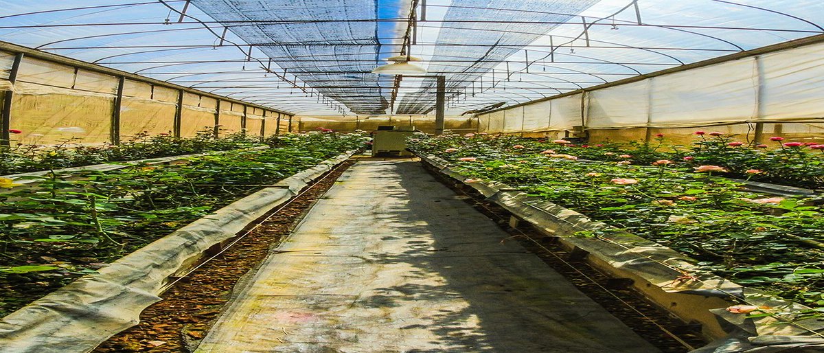 StockDayPodcast's tweet photo. WeedMD Reports Fiscal Year 2019 Financial Results and First Quarter 2020 Preliminary Revenue of $12 Million
#weedMD #firstquarter2020 https://t.co/cYjlfZQXD3 https://t.co/FMCmkFnaNx