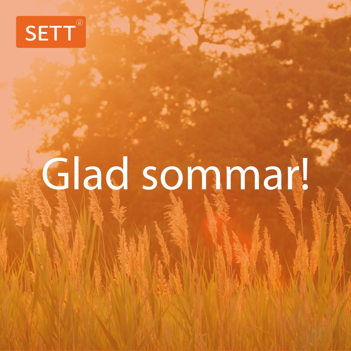 Vi på #SETTdagarna önskar dig en fantastisk sommar, fylld av bl.a. natur- bokupplevelser. Ta tillfället i akt och vila både fysiskt och mentalt, för i höst väntar en ny termin med nya utmaningar. Vila ut så att du kan vara den lärare du själv hade velat ha! Glad sommar! 🌞🌸