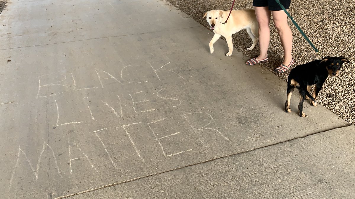 MileHightheGrey's tweet photo. Some may call this sort of thing “virtue signaling." And fair enough—I’m sometimes guilty of that, for sure. But, better to virtue-signal than to vice-signal! 😆
#BlackLivesMatter #Pride2020 #lovestapleton*❤️
*or whatever we end up calling it soon https://t.co/AgayBaDjqu