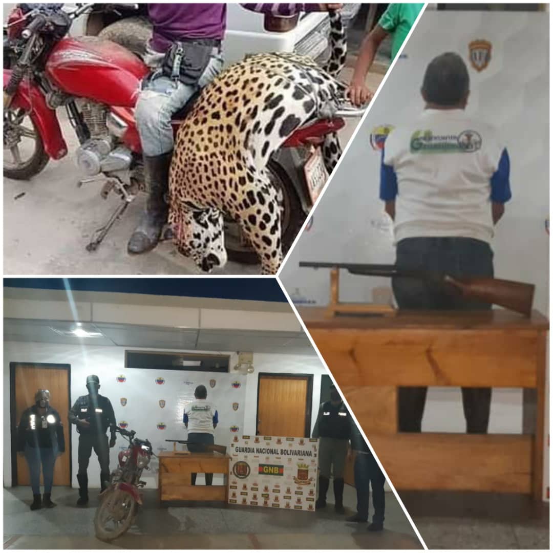 JosueLorca's tweet photo. 3/3. Continuamos trabajando para garantizar la protección de nuestra flora y fauna, no nos rendiremos ante esta lucha por la preservación de nuestra diversidad biológica. https://t.co/KelkusnRm4
