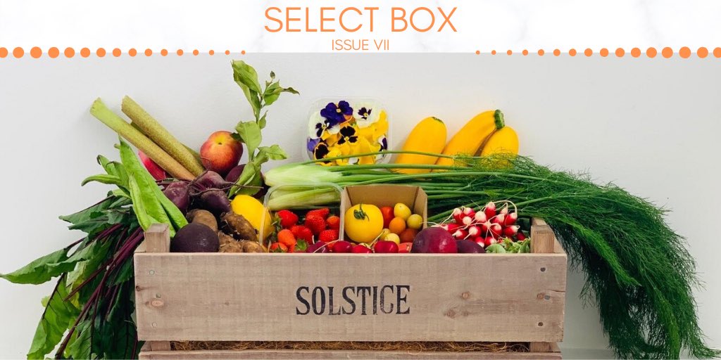 SolsticeFood's tweet photo. Issue VII of our Select Box is now live 🍒🌱🍅Check out our website and keep an eye out for the next issue🧡🧡
https://t.co/XGAy8cCw2G

#solsticefood #solsticeathome #greengrocer #homedelivery #freshproduce #solsticevegbox #fruitandvegbox #wimbledon #london #localsupplier https://t.co/cU1tJpdRg4