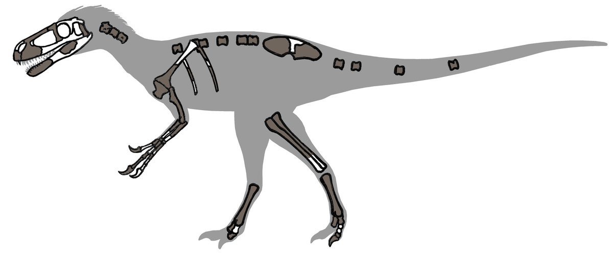 dinopals tweet picture