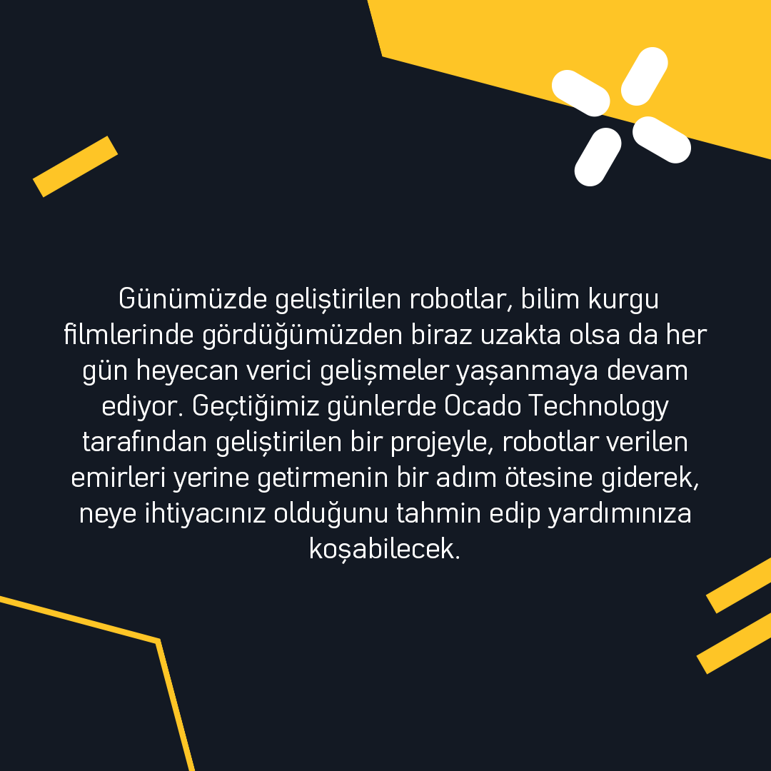 Arıkovanı tweet media