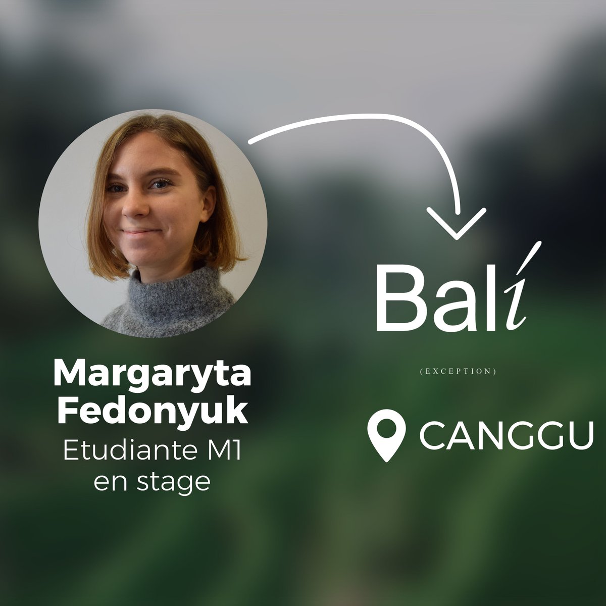 MasterMASCI's tweet photo. Où est #Mascimo ?🦙
Cela faisait longtemps que Mascimo ne s'était pas manifesté. Il a profité du déconfinement pour rendre visite à Margaryta qui effectue son stage dans un lieu aussi paradisiaque que #Bali, en tant qu'assistante marketing dans une agence de voyages! #MasciFamily https://t.co/2p3as1F7zq