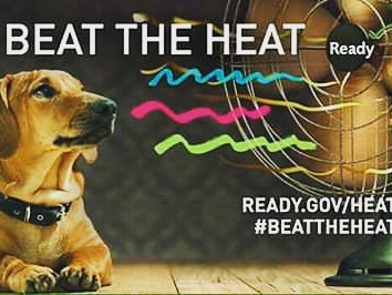EastonAH's tweet photo. Avoid exercising with your pet outside on extremely #hot days! #PetPreparedness #HeatSafety #BeatTheHeat #SummerVibes #Summer2020 #safety #safetytips https://t.co/FBohzG5Yr7