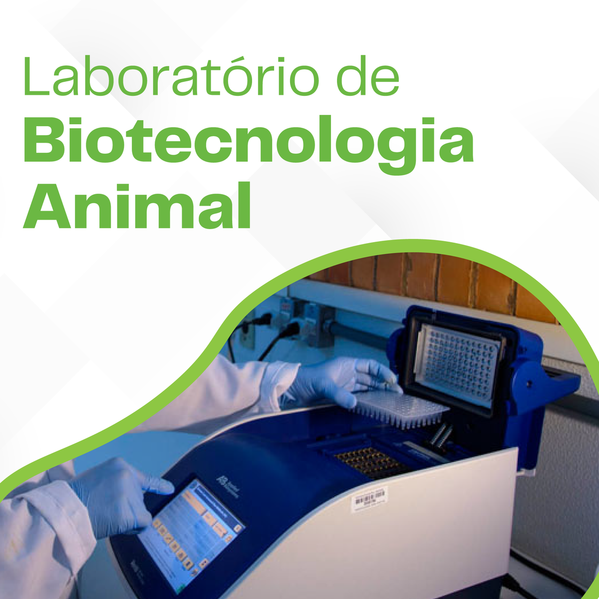 dzoufv's tweet photo. Conheça nossos laboratórios! Não perca as inscrições para o processo seletivo da nossa pós graduação, elas se encerram dia 15/06! Mais informações em nosso site! https://t.co/JVwbuMqBbp